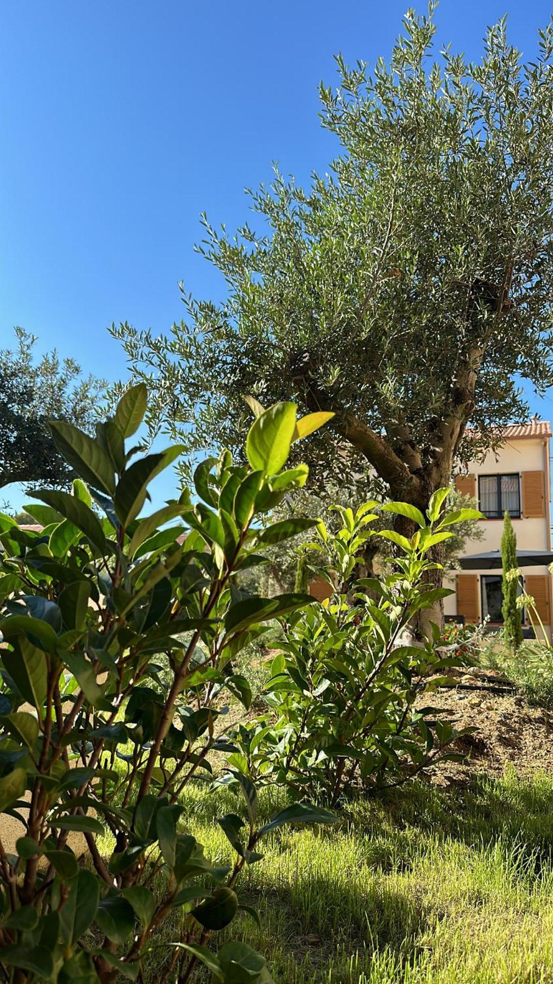 Residence Catalina 생플로랑 외부 사진