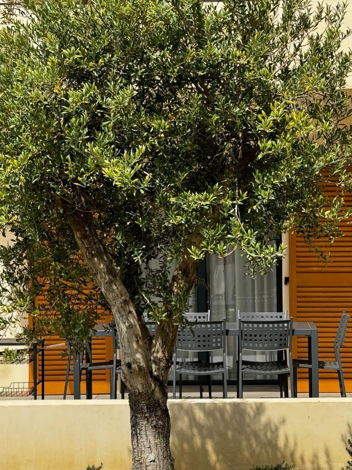 Residence Catalina 생플로랑 외부 사진